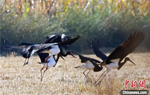 918�����á�(�й�)Ψһ�ٷ���վ